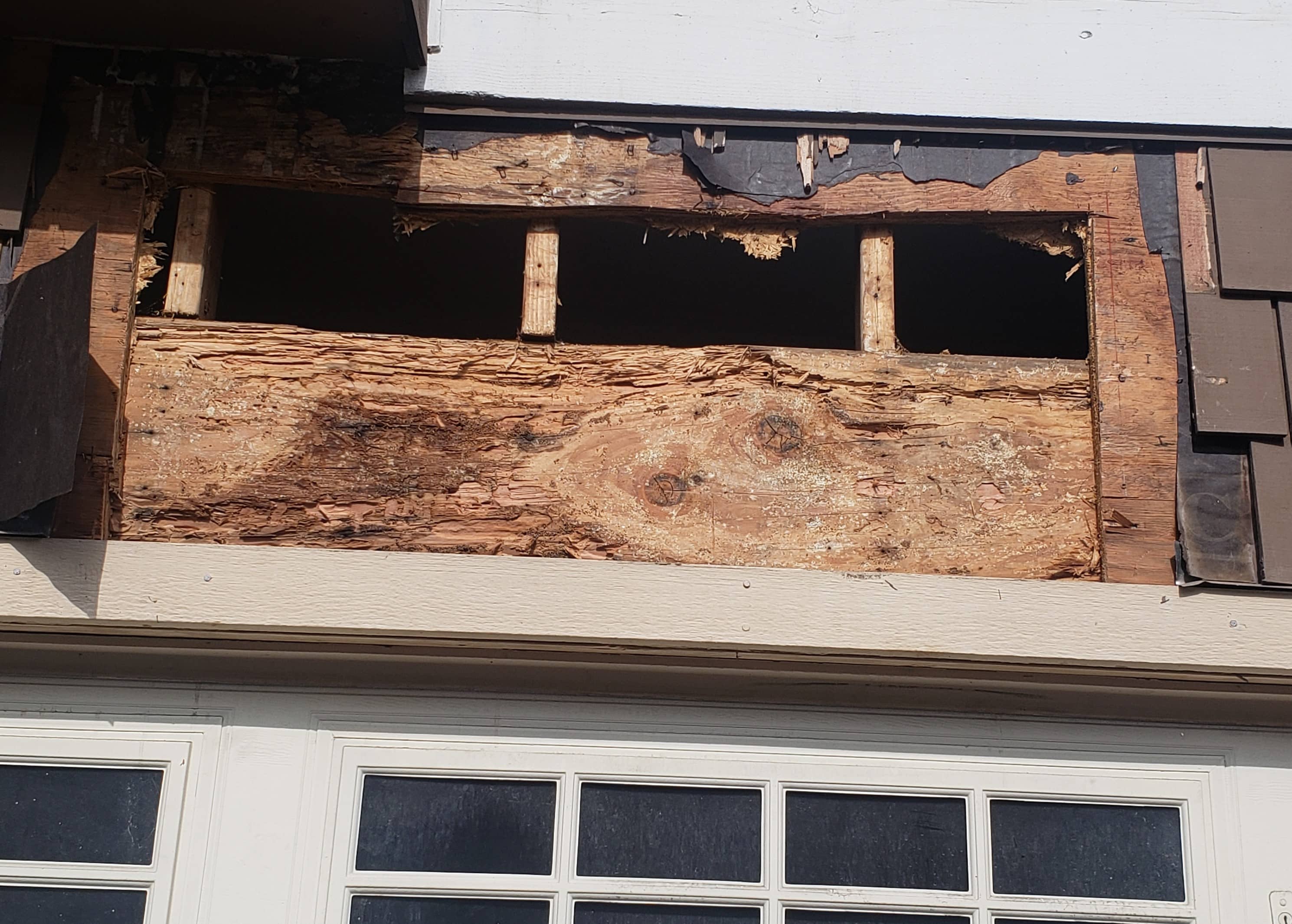 Termite Damage & Dry Rot Repairs